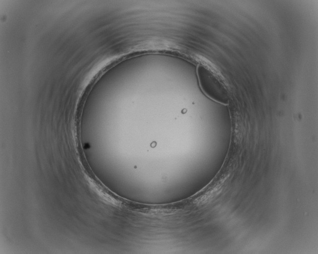 X0000074210942200609151553