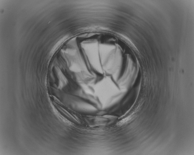 X0000074210946200609151553