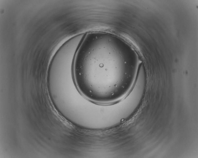 X0000074210948200609151553