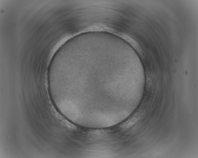 X0000074210950200609151553