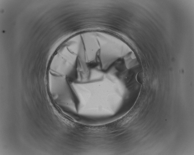 X0000074210951200609151553