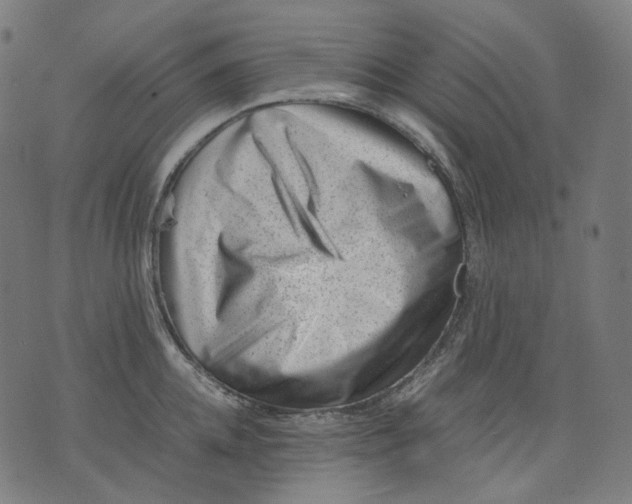 X0000074210952200609151553