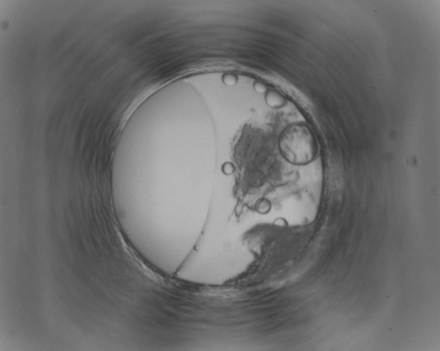 X0000074210953200609151553