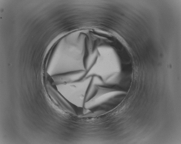 X0000074210955200609151553