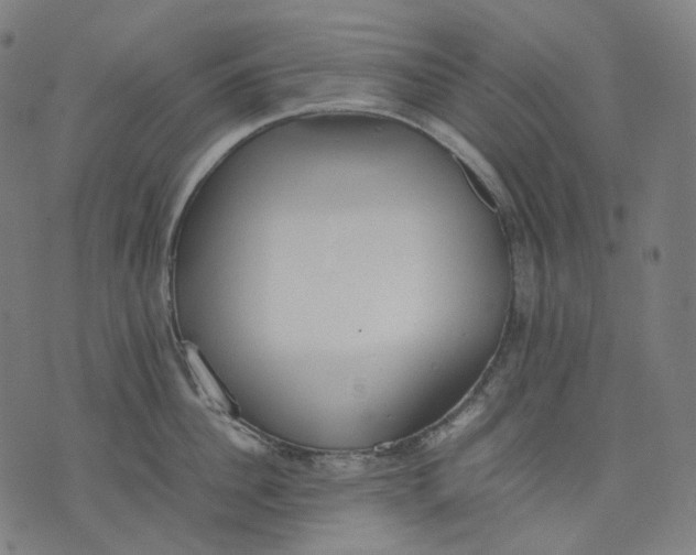 X0000074210956200609151553