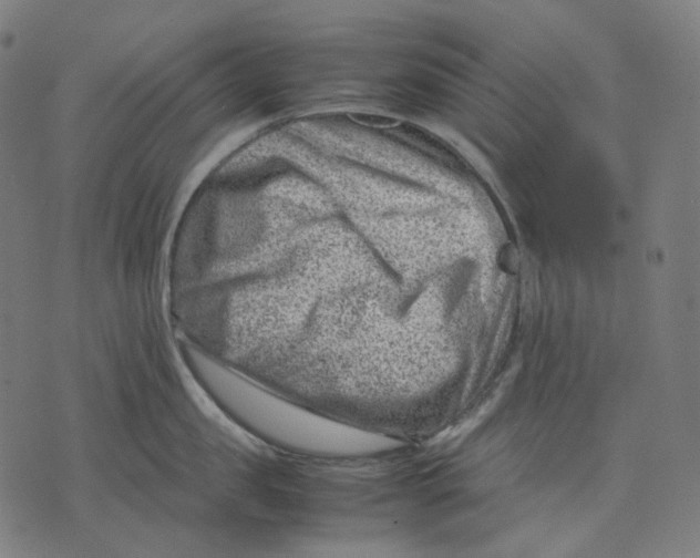 X0000074210957200609151553