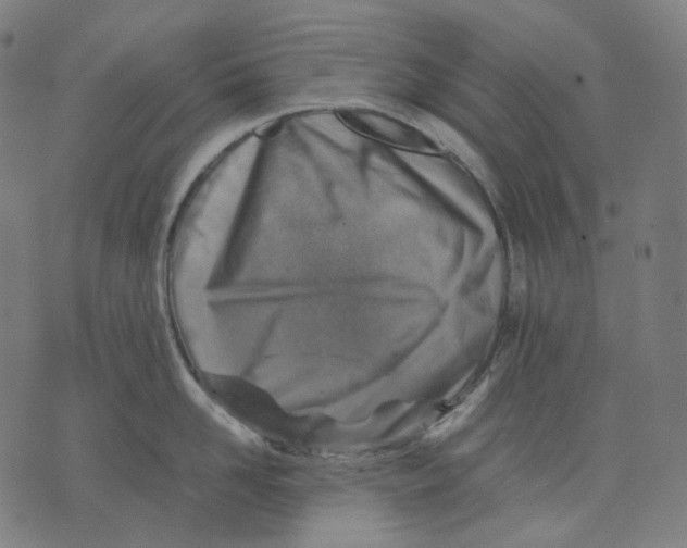 X0000074210958200609151553