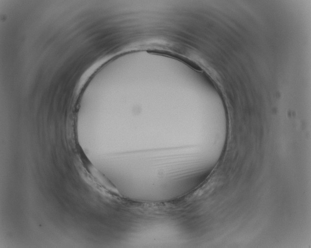 X0000074210960200609151553