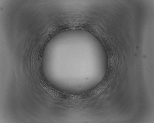 X0000074210961200609151552