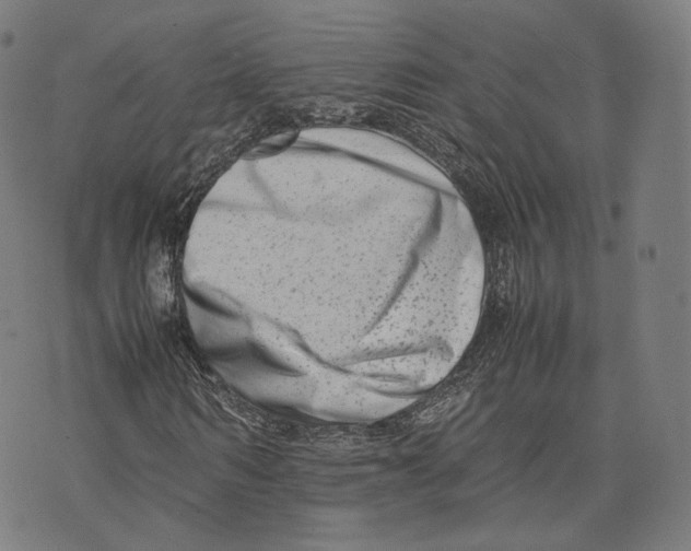 X0000074210962200609151552