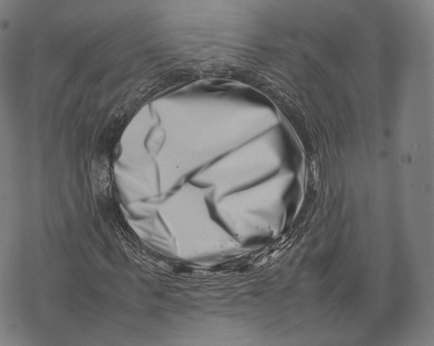 X0000074210963200609151552