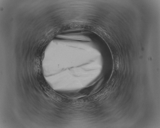 X0000074210964200609151552