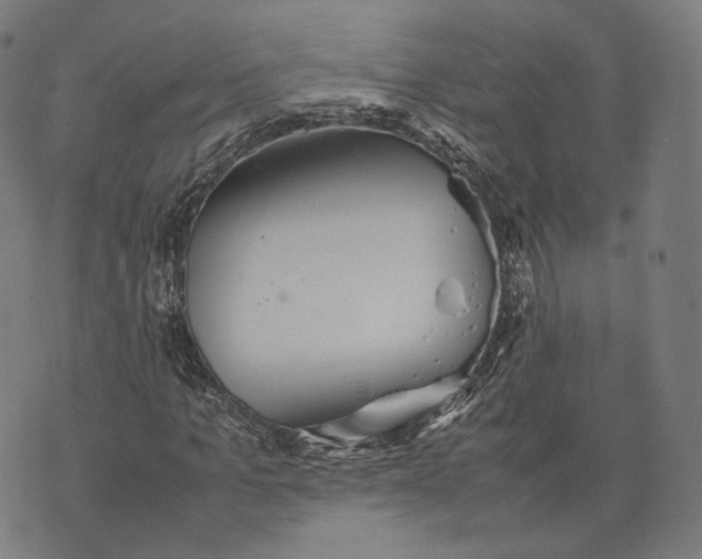 X0000074210965200609151552