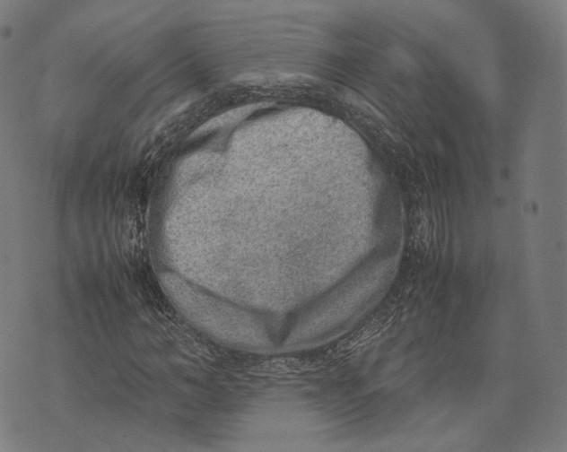 X0000074210966200609151552