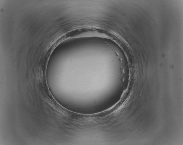 X0000074210969200609151552