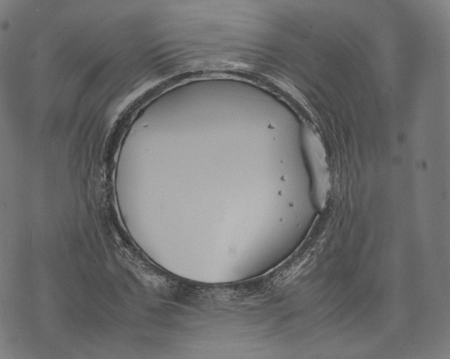 X0000074210971200609151552