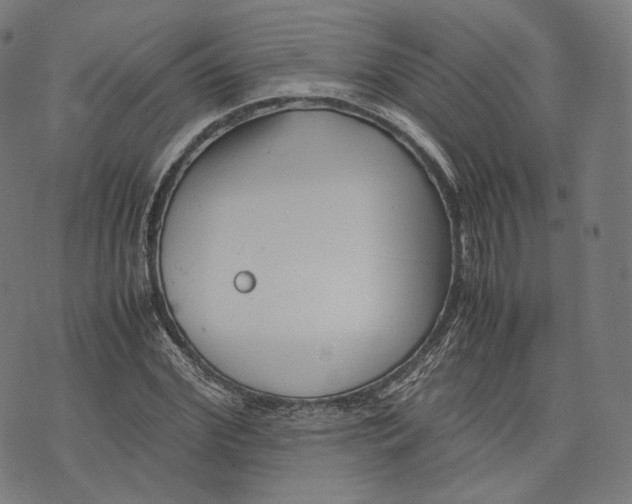 X0000074210972200609151552