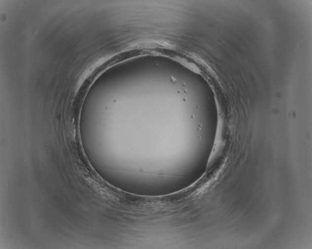 X0000074210973200609151552