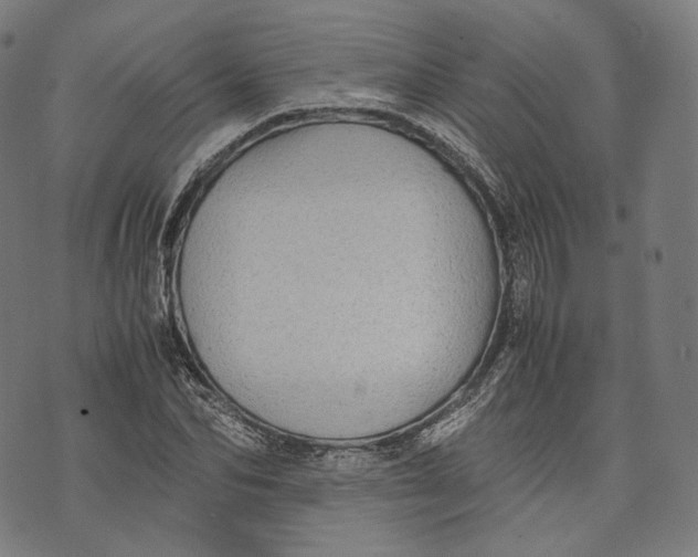 X0000074210974200609151552