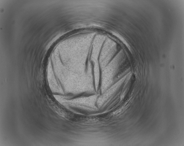 X0000074210975200609151552