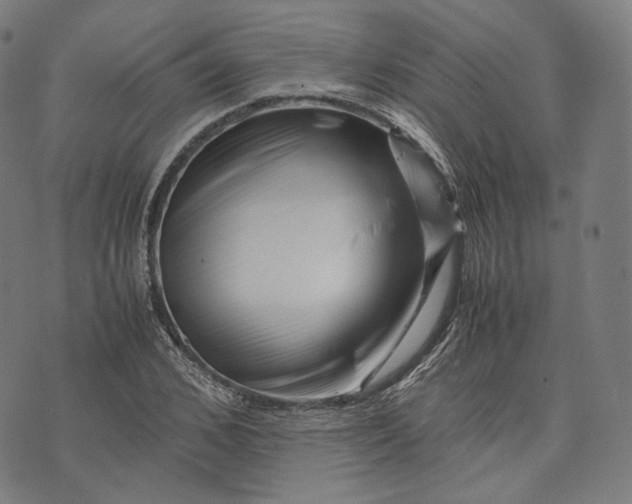 X0000074210976200609151552