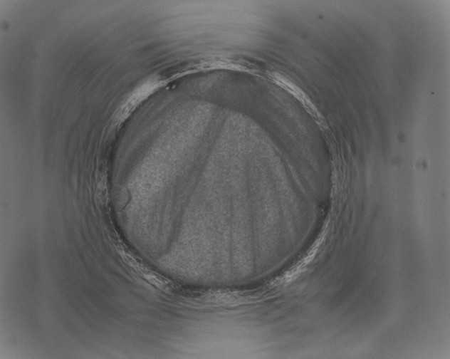 X0000074210977200609151552