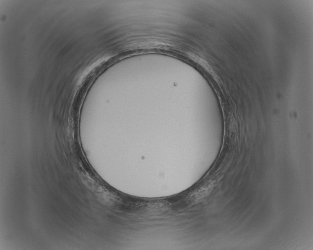 X0000074210979200609151552