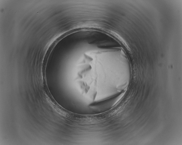 X0000074210980200609151552