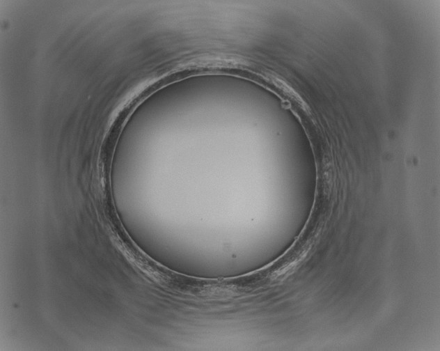 X0000074210981200609151552