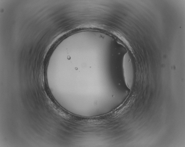 X0000074210984200609151552