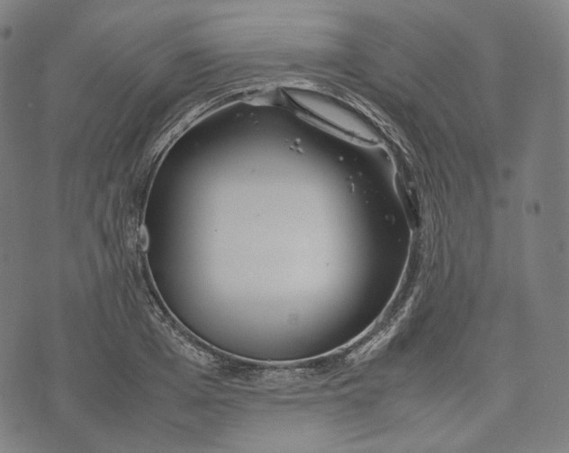 X0000074210985200609151552