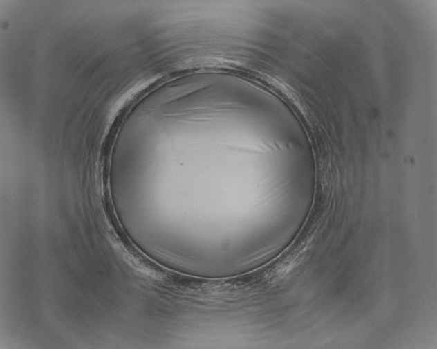 X0000074210987200609151552