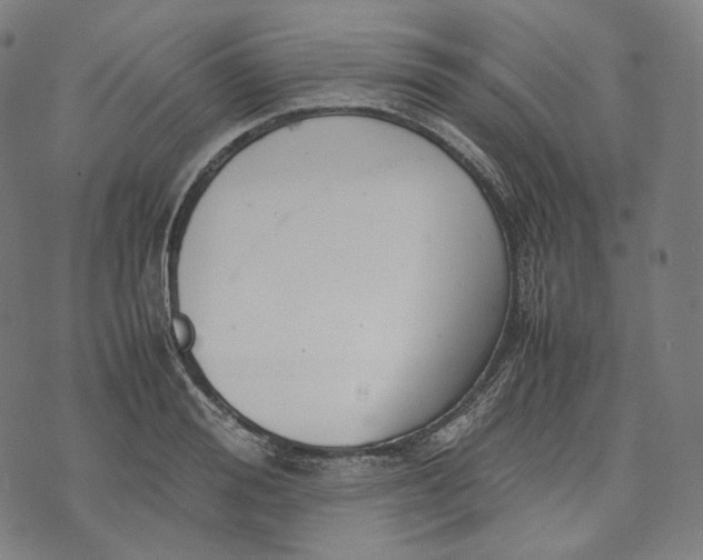 X0000074210988200609151552