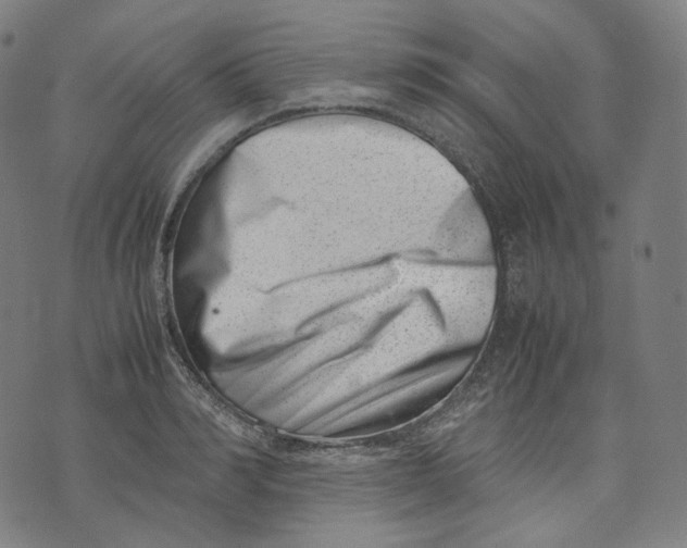 X0000074210990200609151552