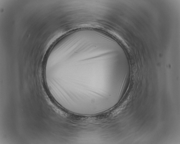 X0000074210991200609151552