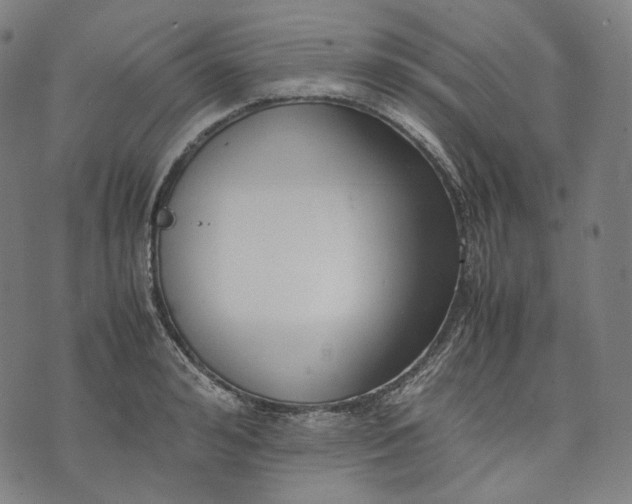 X0000074210992200609151552