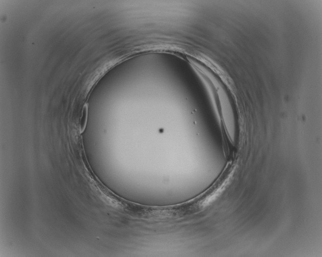 X0000074210993200609151552