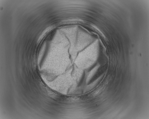 X0000074210994200609151552