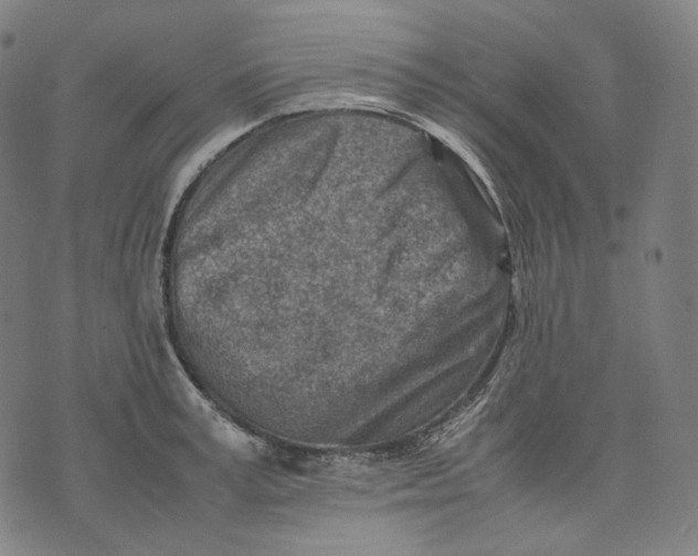 X0000074210995200609151552