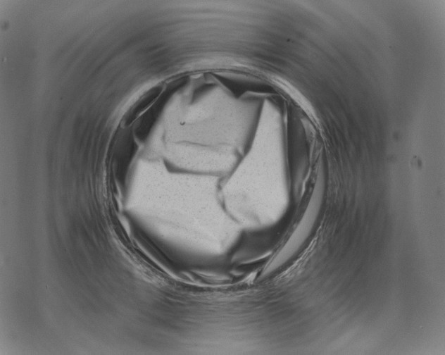 X0000074210996200609151551