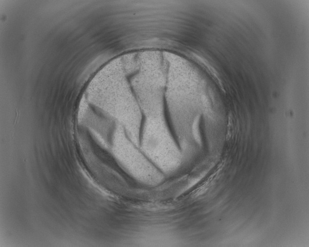 X0000074210998200609151551