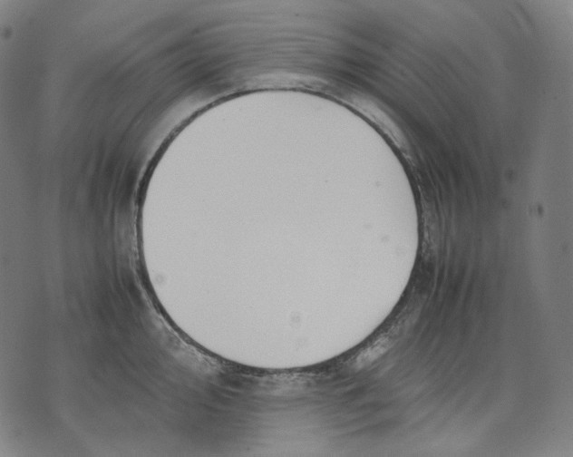 X0000074211000200609151551