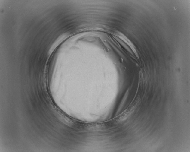 X0000074211002200609151551