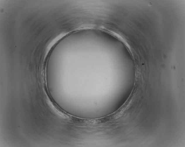 X0000074211003200609151551