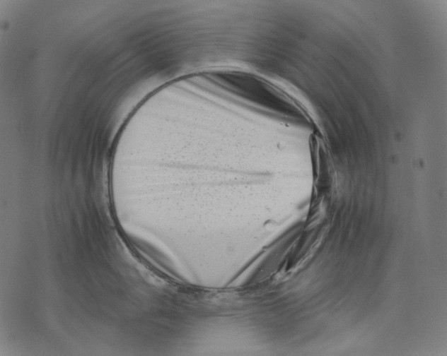 X0000074211006200609151551