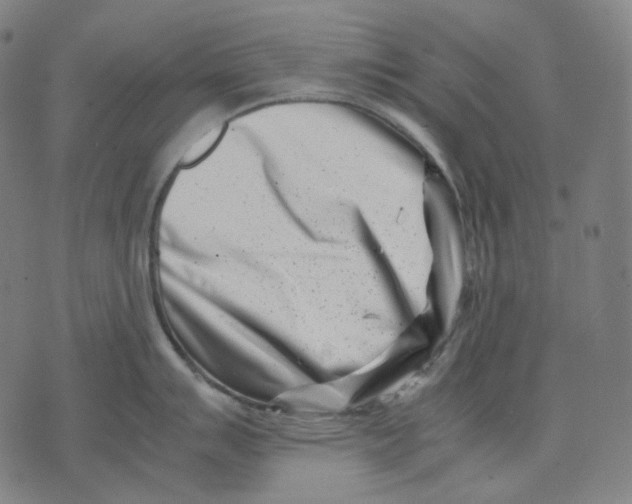 X0000074211007200609151551