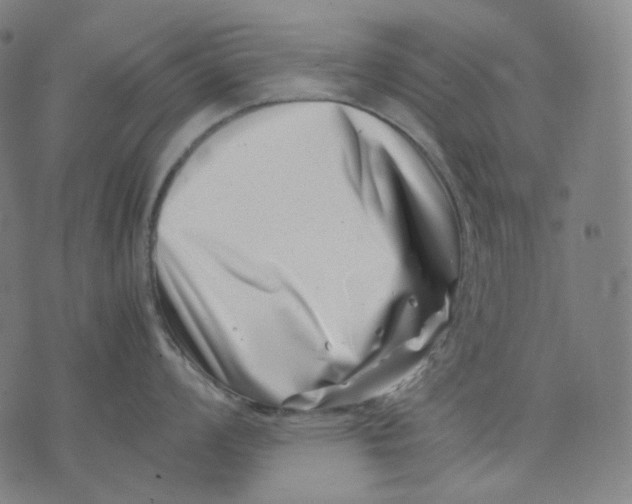 X0000074211008200609151551