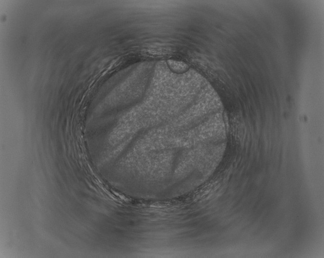 X0000074211009200609151551