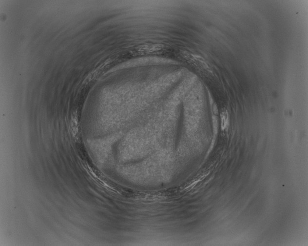 X0000074211011200609151551