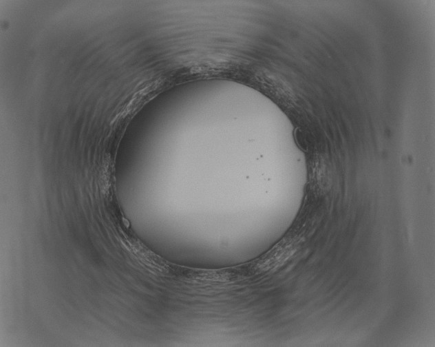 X0000074211012200609151551